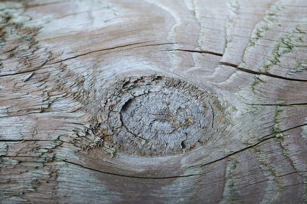 wooden texture background   