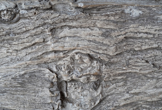 Wooden texture