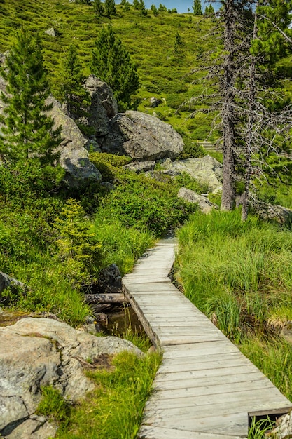 Wooden tourist path