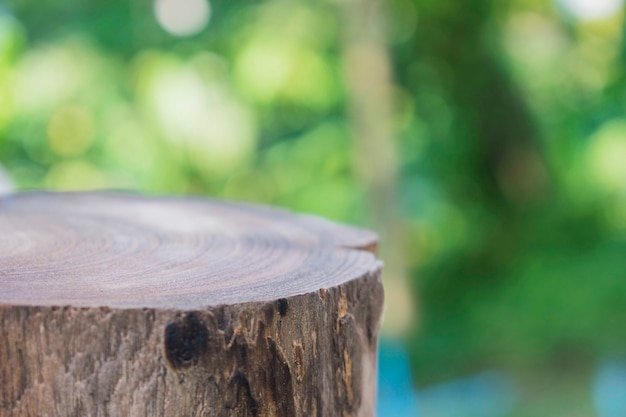 Wooden trunk outdoors