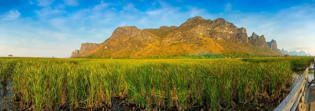 Wooden walkway in Khao Sam Roi Yot National Park Kui Buri District Prachuap Khiri Khan Thailand