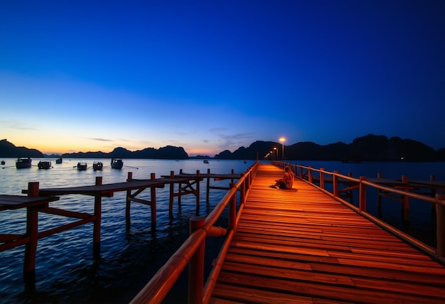 Photo a wooden walkway leads to a dock with boats in the water