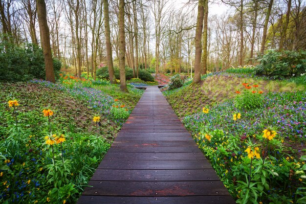 Wooden walkway through the Keukenhof park in Netherlands