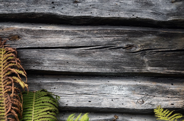 Wooden wall of green grass. 