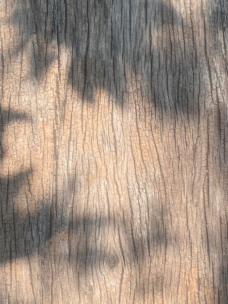 A wooden wall with a shadow of a plant on it.