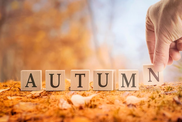 The word autumn from cubes in English autumn background of leaf fall in the forest a hand composes words from cubes