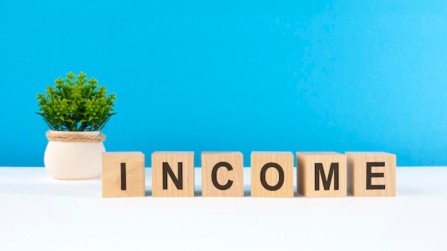 The word income is written on wooden cubes on a light blue background