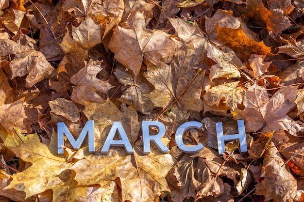 The word march laid with silver metal letters on the ground dry maple leaves