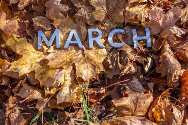 The word march laid with silver metal letters on the ground dry maple leaves