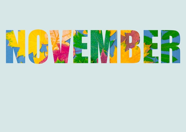 The word NOVEMBER composed of bright, colorful autumn leaves of different plants, isolated on a pastel blue background. Autumn month November. Bright autumn calendar