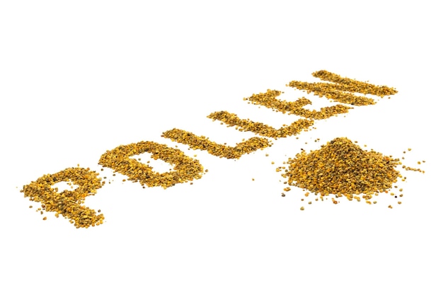 The word pollen laid with yellow pollen grain on white background with diagonal perspective