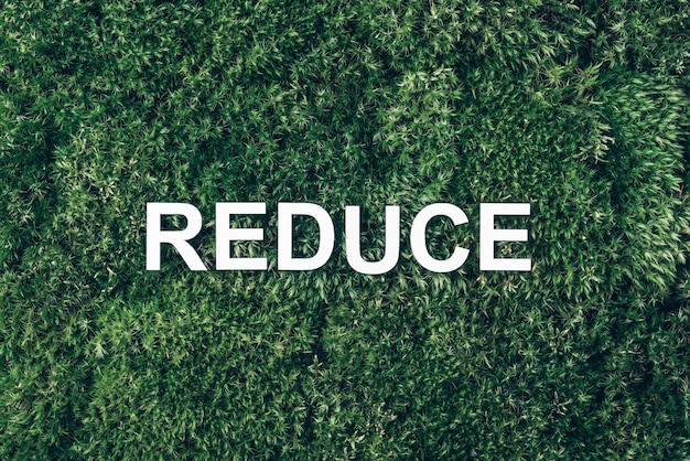 Word Reduce on moss green grass background Top view Copy space Banner Biophilia concept Nature backdrop Reduce stress