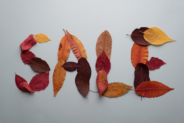 Word sale made from autumn leaves on blue background