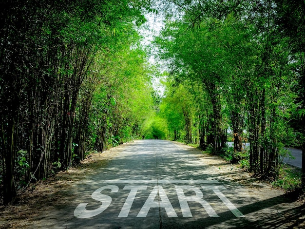 Word START new beginning concept Text written on the local concrete road in the middle surround with green bamboo forest Concept of planning goal challenge new small business and startup