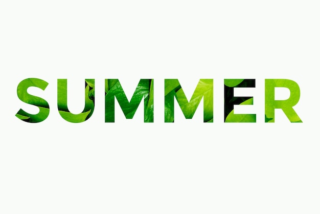 Word summer made from fresh leaves on a white background Summer concept Summer background