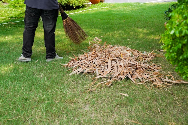 Worker sweeps dry leafs in garden