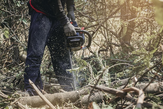 Worker using chainsaw for cutting down the tree Deforestation forest cutting concept