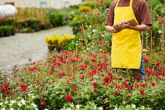 Worker Walking among Blooming Plants