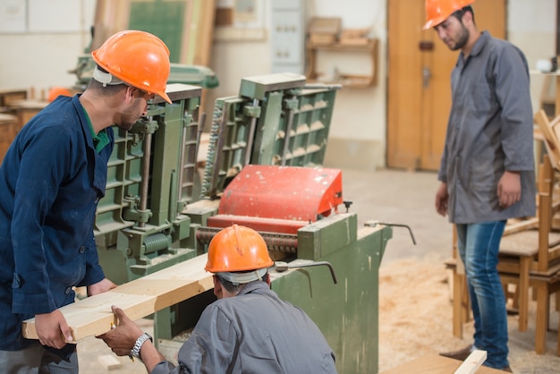 Workers in industrial wood factory