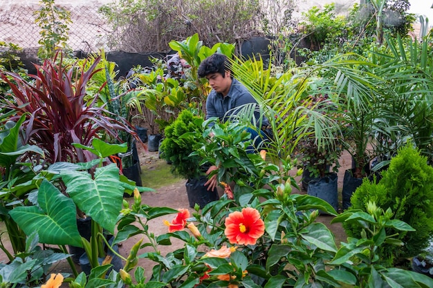 working in the greenhouse