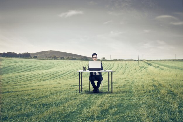 Photo working on a laptop from a meadow