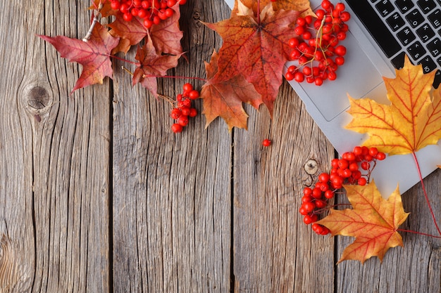 Workspace with yellow and red maple leaves. Desktop with laptop, fallen leaves on grey wooden background