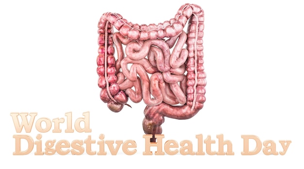 World Digestive Health Day concept 3D rendering