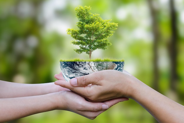 World environment day and earth day concept Two human hands holding earth globe and big tree over blurred forrest and green bokeh background Elements of this image furnished by NASA