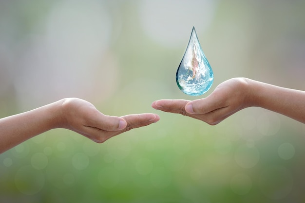 World Environment Dayhuman hand protecting water drop with sunlight on green nature background