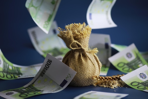 World grain crisis A handful of cereals and euro banknotes on a blue background