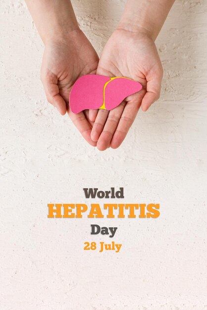 Photo world hepatitis day adult hands holding donation liver on white background