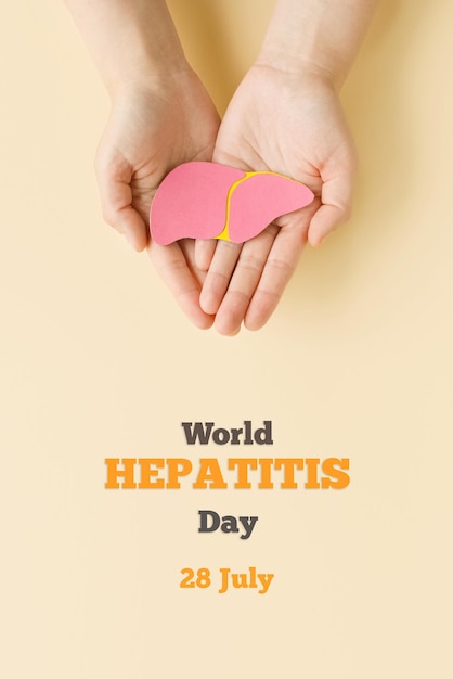 World hepatitis day Adult hands holding liver on beige background