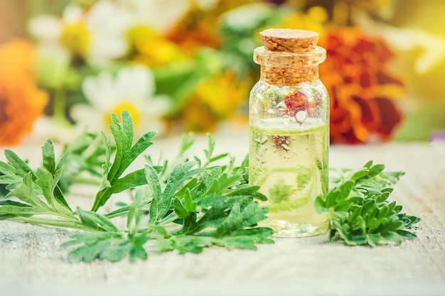 Wormwood extract in a small jar Selective focus