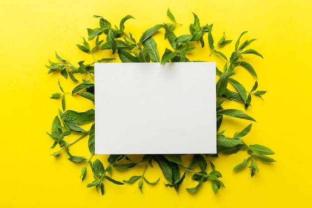 Photo wreath frame made of empty paper blank with space for text and mint leaves on colored background mint pattern flat lay top view