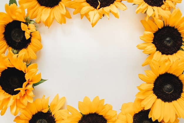 Wreath frame of sunflowers on white