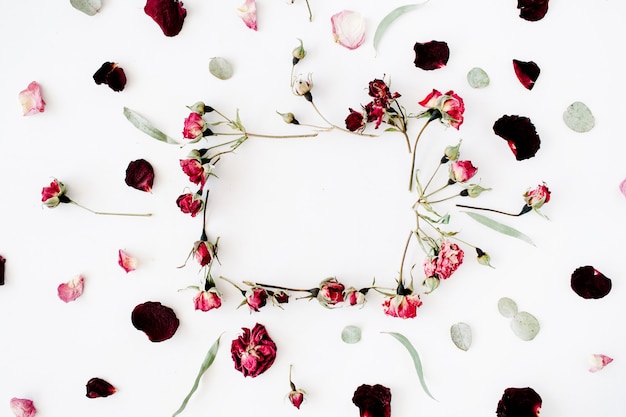 Wreath frame with roses, eucalyptus, branches, leaves and petals isolated on white