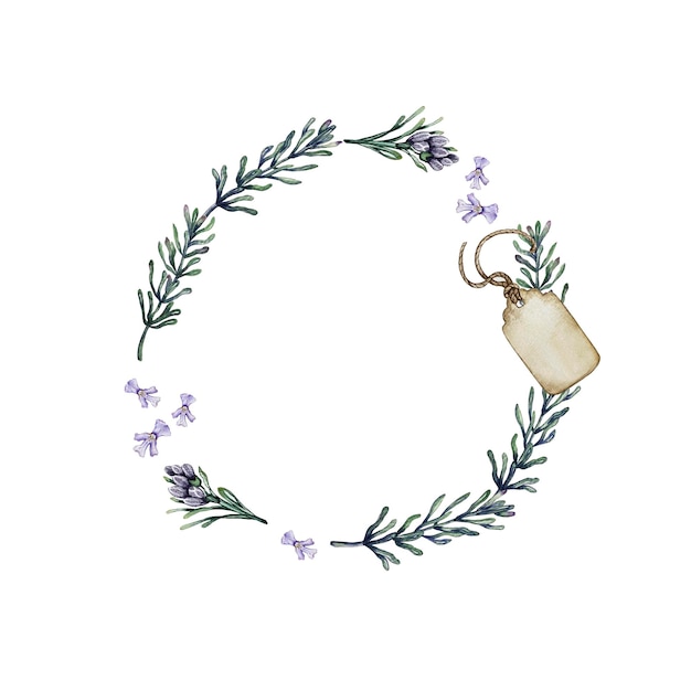 Wreath of leaves and branches of rosemary High quality watercolor illustration