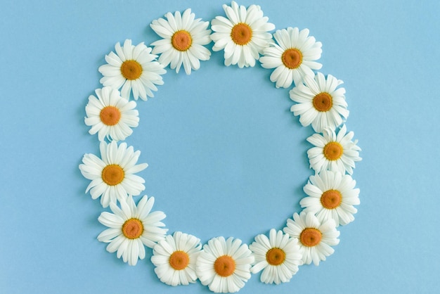 Wreath made of white chamomile flowers