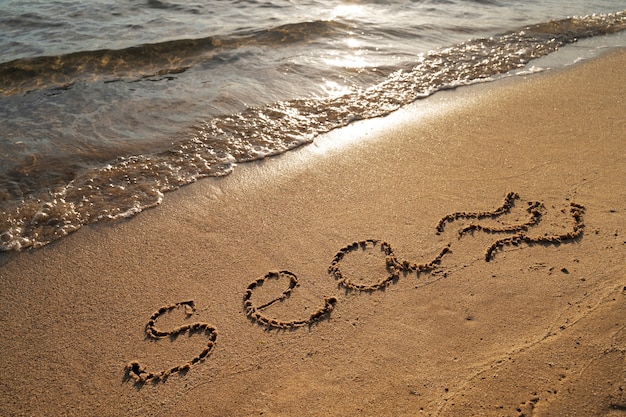 Photo writing words in the sand