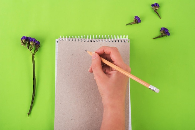 Writting in the notebook with pencil on green background with blue flowers. zero waste concept, bussiness concept