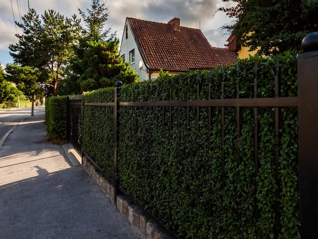 wrought iron fence on posts and stone foundation with plants