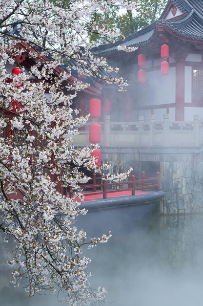 Wuhan East Lake Cherry blossom Garden Spring Scenery