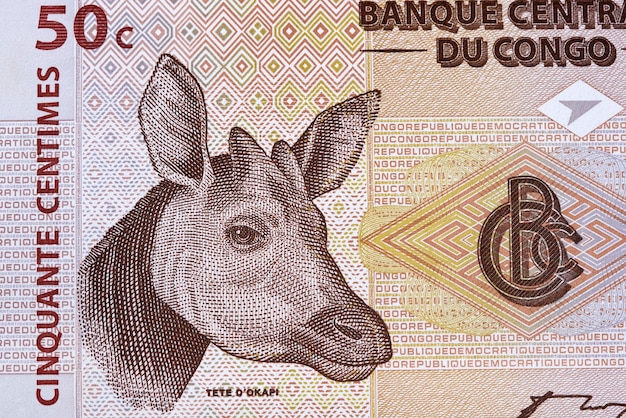 X9Okapi a portrait from old Congolese money