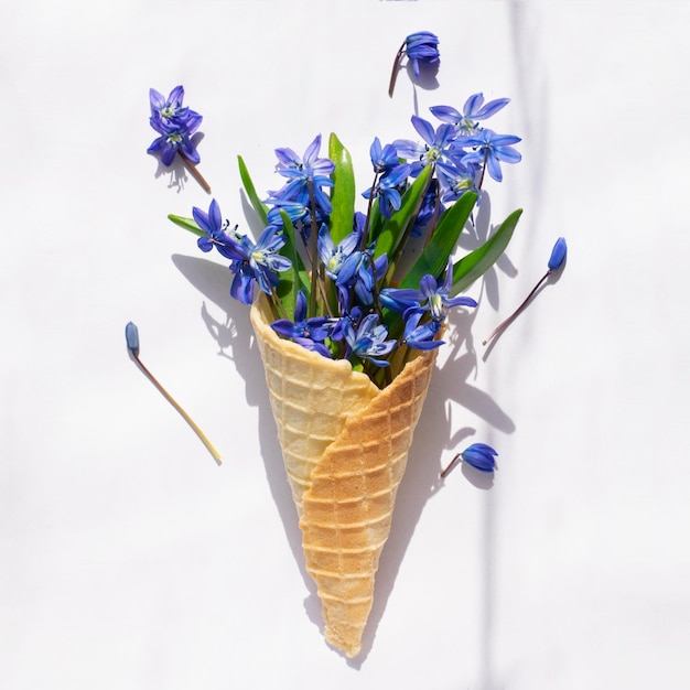 XASpring blue flowers  in a waffle cone on a white background