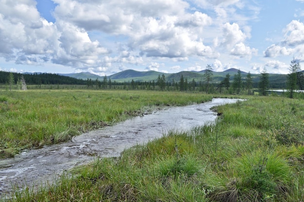 XAThe stream flows through the swamp