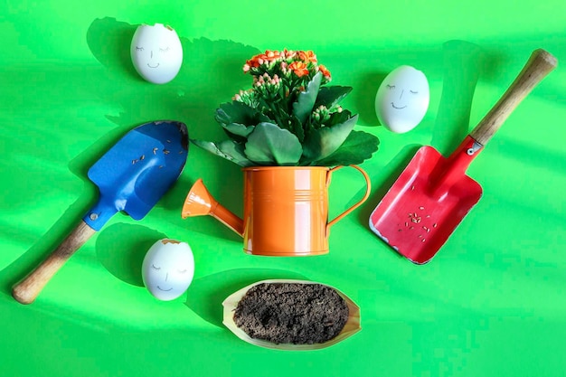 XAWatering can with flowers and gardening tools on greenxAWatering can with flowers eggs with smiles earth and garden shovels on a green background closeup top view