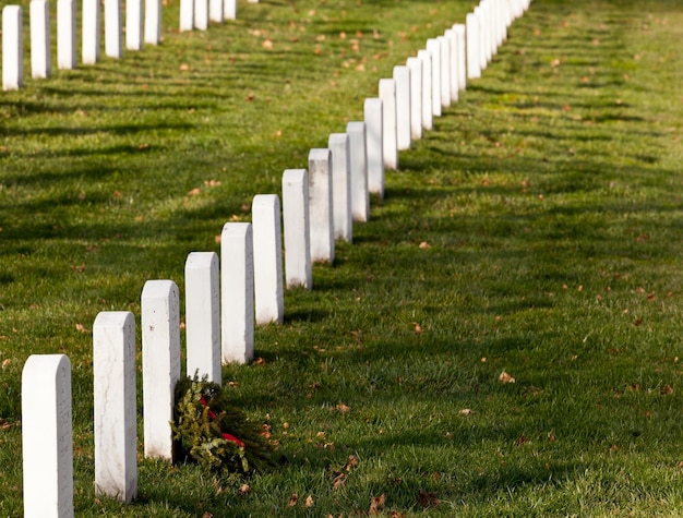 Xmas wreaths in Arlington Cemetery