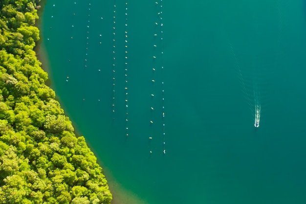 Yacht leaves white seafoam trace sailing past oyster farm in lim bay greenery of istria peninsula il