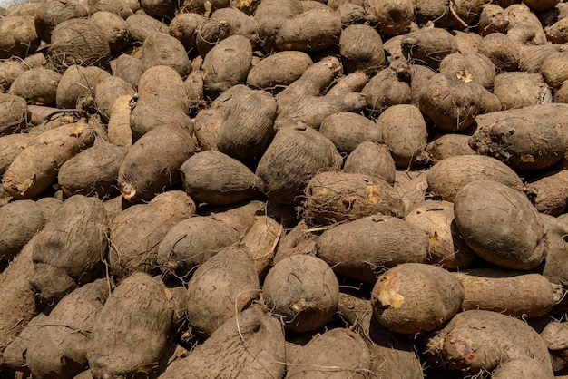 Yams for sale at a street market in Brazil