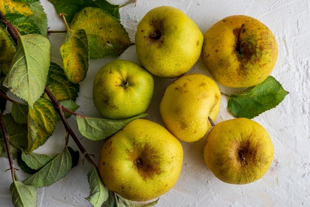 Yellow apples (reinetas) fresh, raw and ripe. With leaves foil.